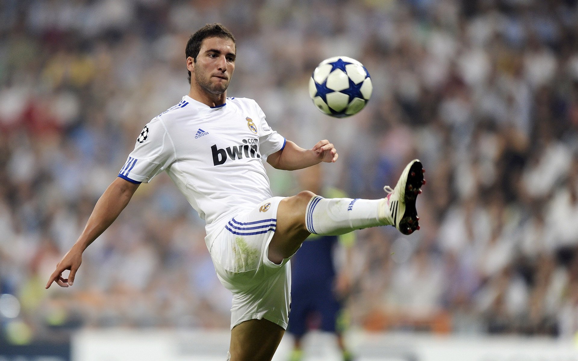 美洲杯技术狂飙：比赛中的精彩花絮，美洲杯视频回顾