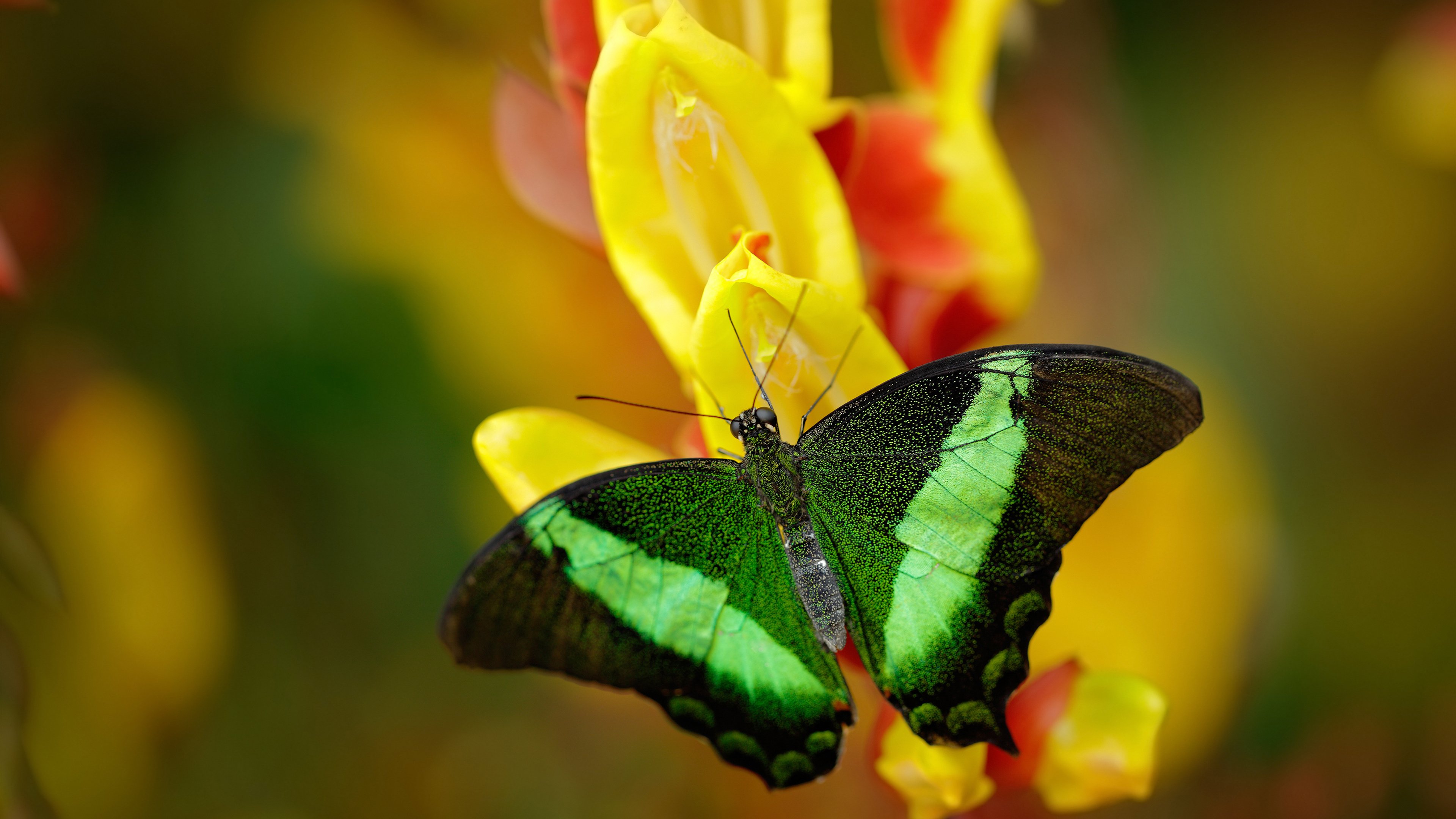 九游-“足球+文化+旅游”深度融合产业在全国多地加速推动，行业前景光明